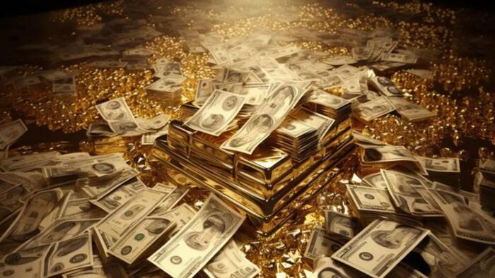 NextImg:Should The Dollar Be Backed By Gold?