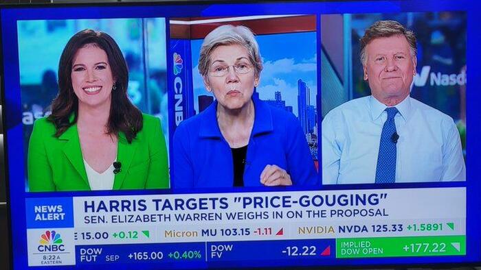 NextImg:"A Flawed Idea": CNBC's Joe Kernen Destroys Elizabeth Warren On Live TV Over Price-Gouging Policy