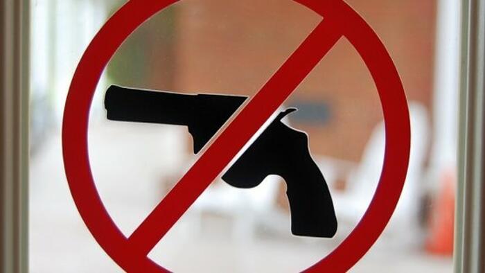 NextImg:Democrats Are Desperate To Keep Red Flag Laws As Legal Opposition Grows