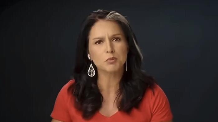NextImg:Watch: Tulsi Gabbard Suing Biden/Harris Admin For Placing Her On Terrorist Watch List