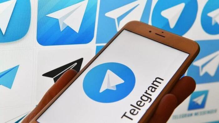 NextImg:Escobar: EUR To Telegram - We're Coming To Get You!
