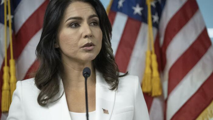 NextImg:Federal Air Marshal Whistleblowers Report Tulsi Gabbard Actively Under Surveillance Via Quiet Skies Program