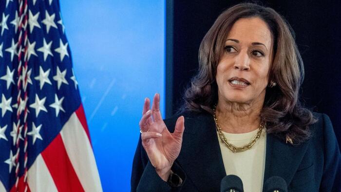 NextImg:Dems Scramble To Walk Back Harris' Price Control Scheme
