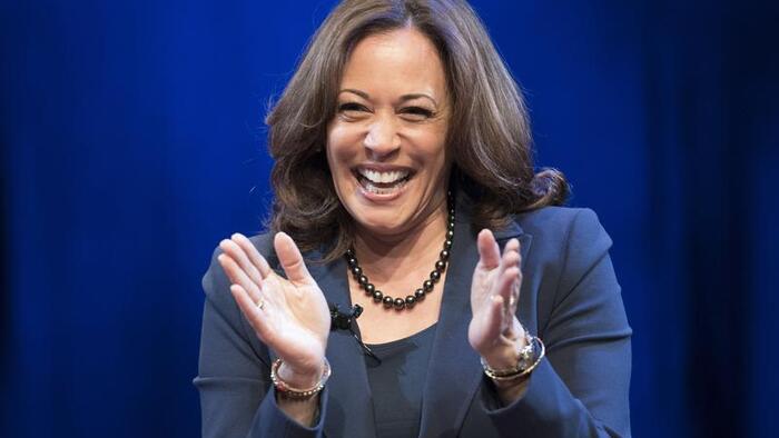 NextImg:Harris Has Enough Virtual Votes To Be Democratic Nominee