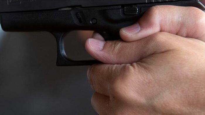 NextImg:Federal Appeals Court: Illegal Aliens Do Not Have 2nd Amendment Rights