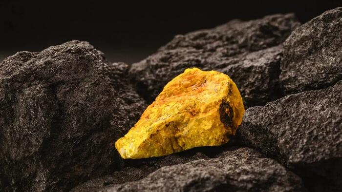 NextImg:Dormant For Decades, US Uranium Producers Are Regaining Traction