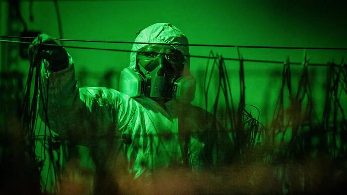 NextImg:Toxic Homes For Sale: How California's Illegal Marijuana Industry Ruins Houses