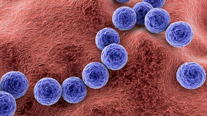 NextImg:Scientists Develop New Compound That Kills Flesh-Eating And Other Drug-Resistant Bacteria