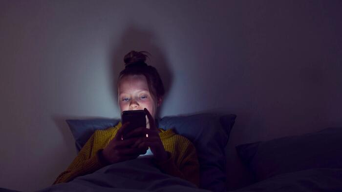 NextImg:Excessive Internet Use Disrupts Key Parts Of The Teenage Brain