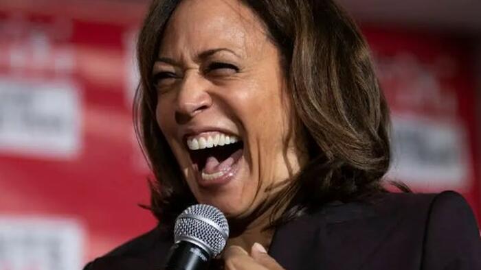 NextImg:Harris' Unrealized Gains Tax Would Obliterate The U.S. Economy