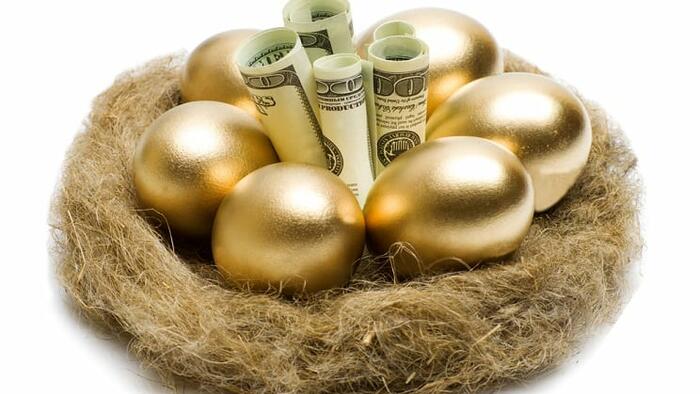 NextImg:Don't Throw Away A Nest Egg