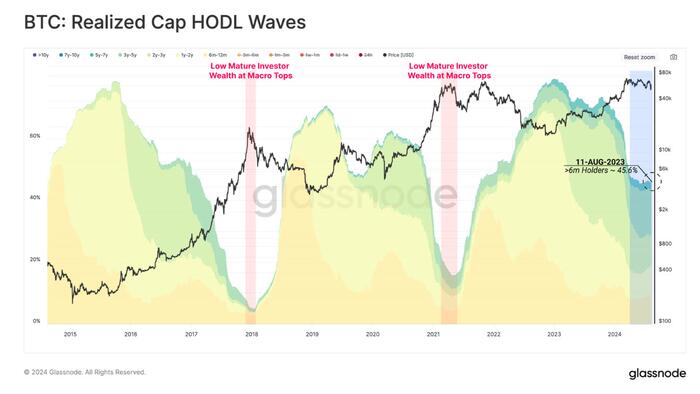 NextImg:45% Of Bitcoin Supply Has Not Moved In 6 Months
