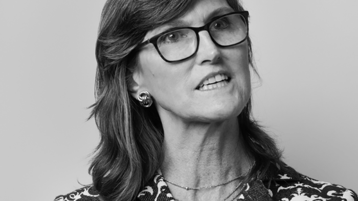 NextImg:Investors Pull $2.2 Billion From ARKK In 2024 As Cathie Wood Underperforms Nasdaq By -30% YTD