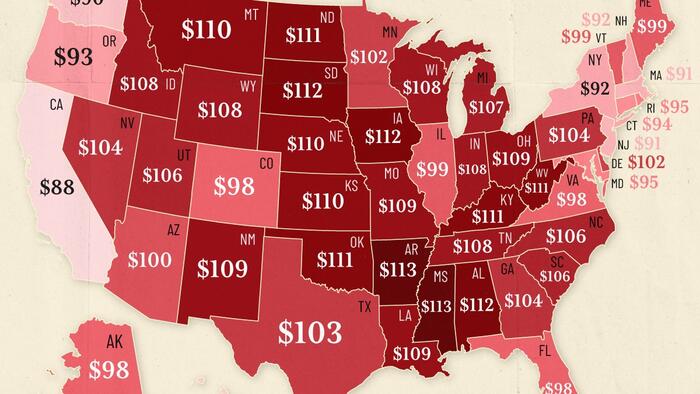 NextImg:Mapping The Shocking Purchasing Power Disparity Of $100 In Each US State