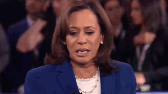 NextImg:"That Has To Stop": Harris Denounces Unfettered Free Speech In 2019 CNN Interview