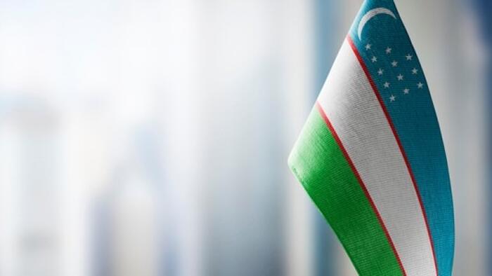 NextImg:Uzbekistan Leverages Russia's Need For Allies, Secures Discounted Gas