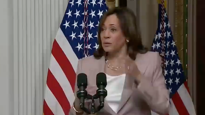 NextImg:Nine US Senators Launch Inquiry Into Kamala Harris' Failure As 'Broadband Czar'