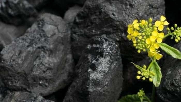 NextImg:UK Says Goodbye To Coal