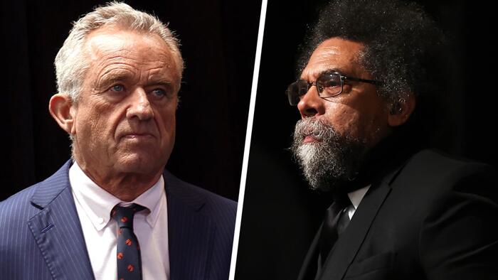NextImg:Democrats Aren't Creating Disorder; They're Preserving It...