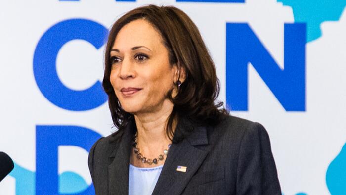 NextImg:Kamaflage: The Harris Policy Dump