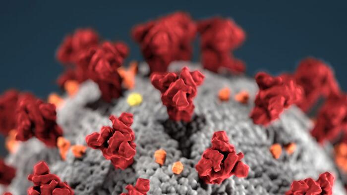 NextImg:Lawmakers Must Pass 'Risky Research' Bill To Prevent Next Pandemic