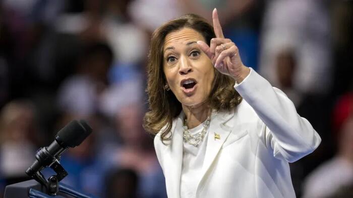 NextImg:Harris' So-Called 'Surge' Is Thanks To Oversampling: Pollsters
