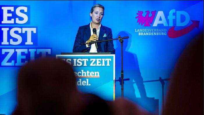 NextImg:Germany Needs A Border Fence, Demands AfD Party Leader Alice Weidel