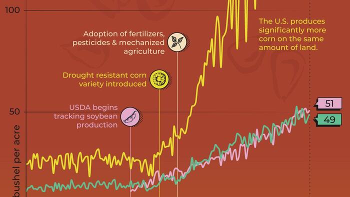 NextImg:Charting 150 Years Of Corn, Wheat, & Soy Yields In America