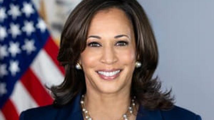 NextImg:Why Kamala Harris Will Not Bring Prices Down... Her Plan Needs Inflation