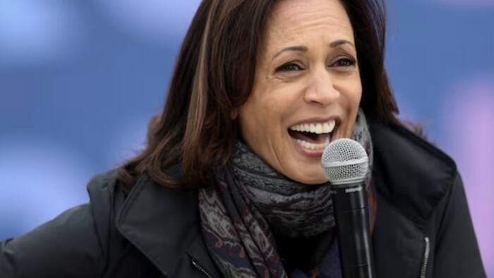 NextImg:"It'll Crater The Market": Andy Schectman On Kamala Harris' Tax Policy