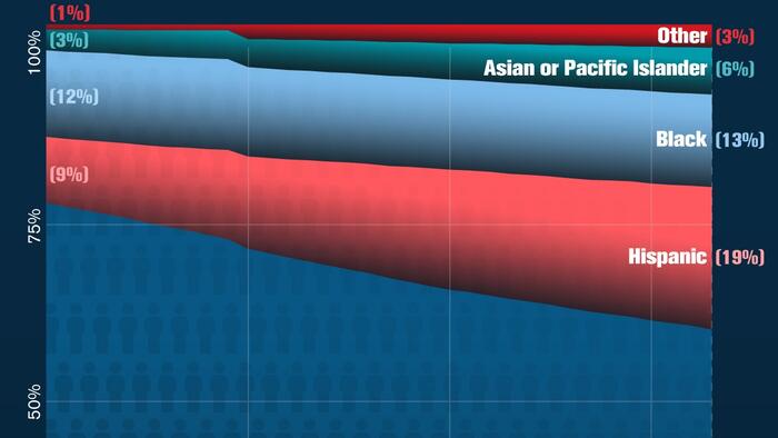 NextImg:Visualizing US Population Racial Breakdown Since 1990