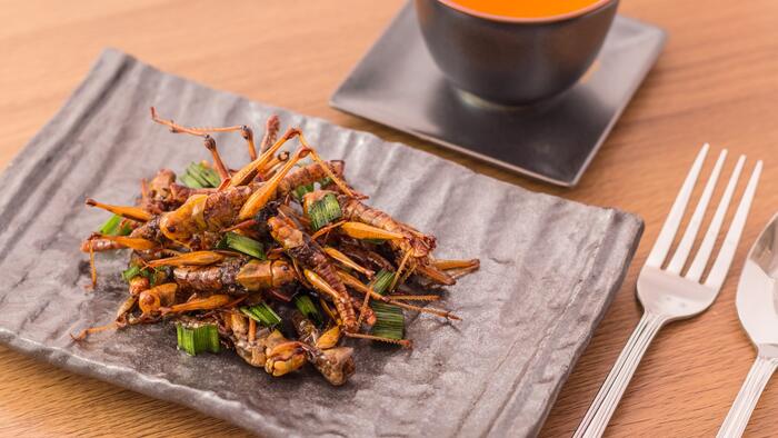 NextImg:Bugs And Goo: Welcome To "Alternative Protein"
