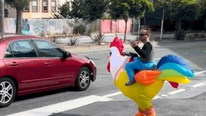 NextImg:Your Tax Dollars At Work: San Fran Cops Dress Up As Inflatable Chicken To Catch Speeding Drivers
