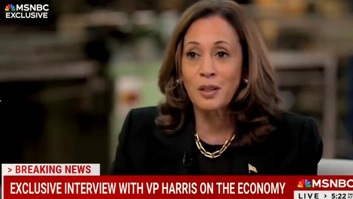 NextImg:Rabobank: MSNBC Won't Ask Kamala The Tough Questions, But Gold Has All The Answers