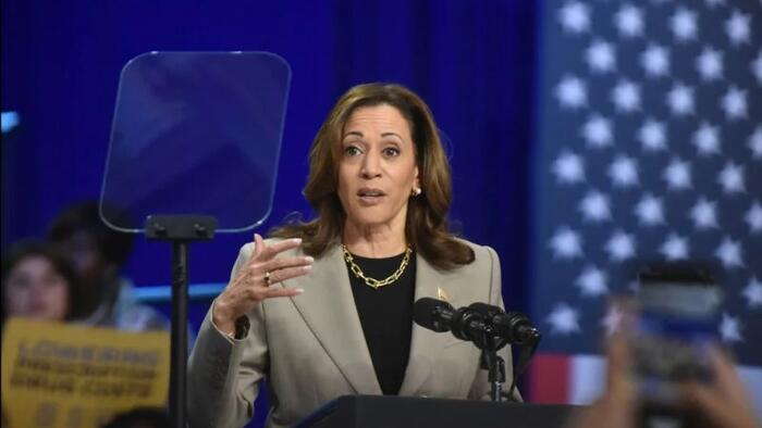 NextImg:Kamala Harris' Greed Theory Of Inflation And The Cowardice Of Economists