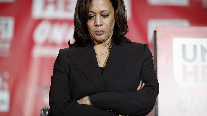 NextImg:The Scent Of A Harris Panic In The Air