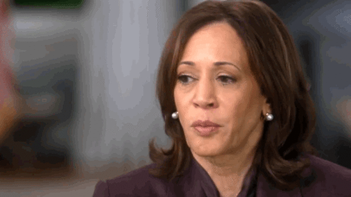 NextImg:Watch: Kamala.exe Malfunctions During 60 Minutes Ambush Over Border, Firearms, Nomination