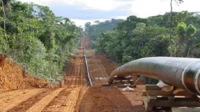 NextImg:African Nations Plan To Launch Their Own 'Energy Bank'