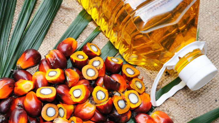 NextImg:World's Most Consumed Vegetable Oil Hits Two-Year High Amid Sticky Food Inflation