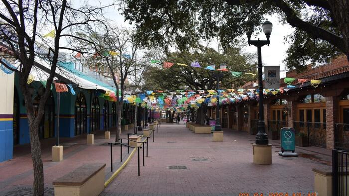 NextImg:Waste Of The Day: San Antonio To Spend $500K On Trees For Apes