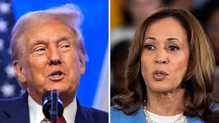 NextImg:Trump Trouncing Kamala In Key Battleground States After Sudden Polymarket Surge
