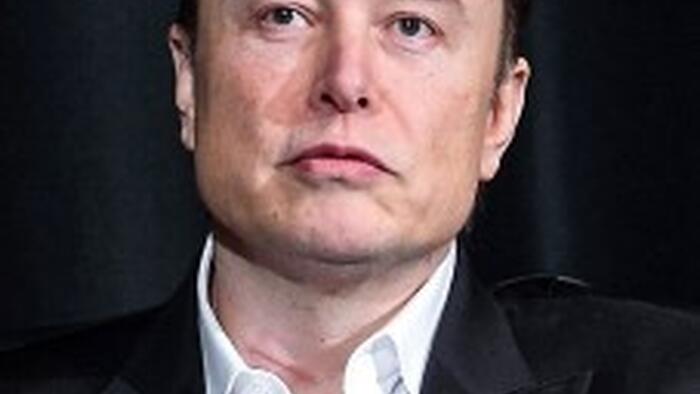 NextImg:Liberals Are Losing Their Minds Over Elon Musk