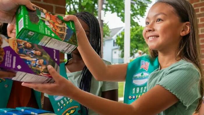 NextImg:Girl Scout Dues Could Rise As Much As 240% Next Year