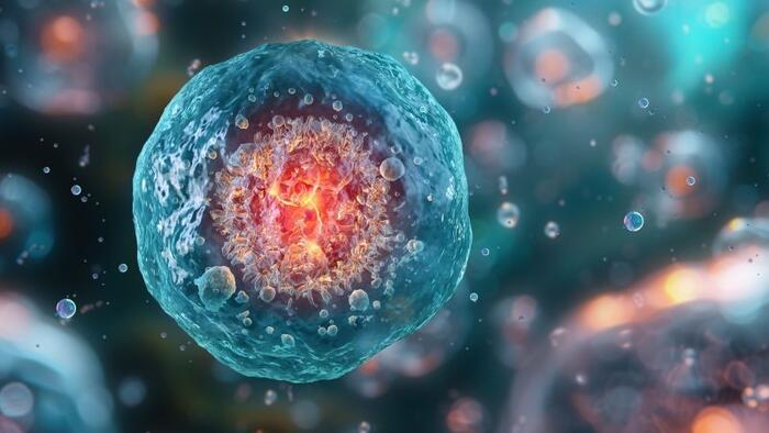 NextImg:Biohacking To Better Health