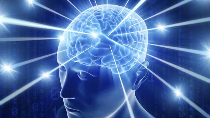 NextImg:Can Consciousness Exist Without A Brain?