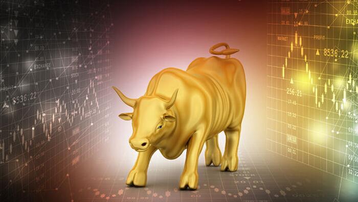 NextImg:The Gold Bull Cycle Has Just Begun