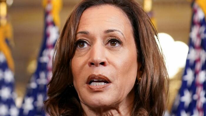 Harris Faces Renewed Plagiarism Accusations