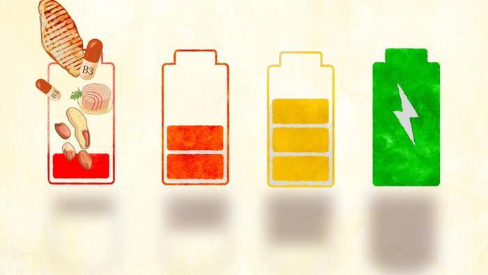 NextImg:Niacin: The Energizer Powering Your Cells And Fighting Cancer