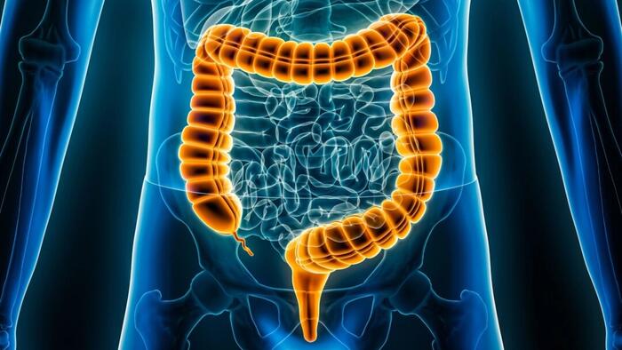 NextImg:A Diet Low In Starch And Sugar Shows Promise In IBS Relief, Boosts Weight Loss