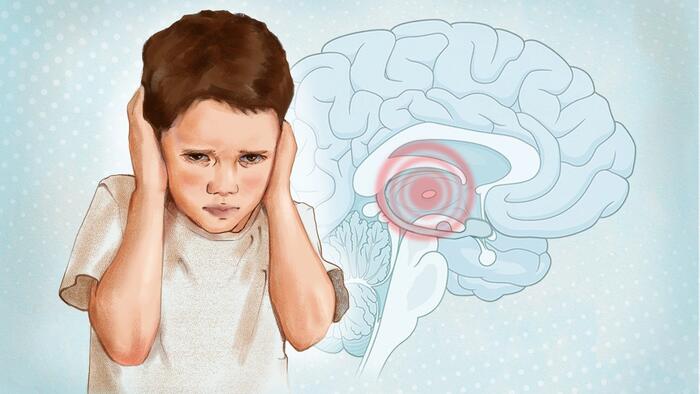 Study Reveals Brain Differences in Autism